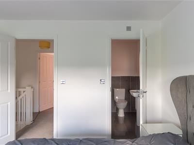 Picture 24